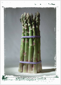 A stalk of asparagus