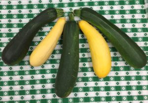 zucchini and squash july 2016 (2)