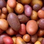 potatoes-522486__180