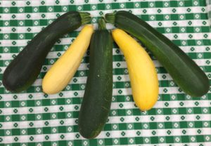 zucchini-and-squash-july-2016-2