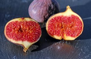 figs-1620590__340