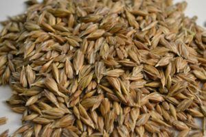 ancient grains