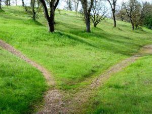 fork in the road