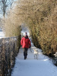 a woman walking with a dog in the snow