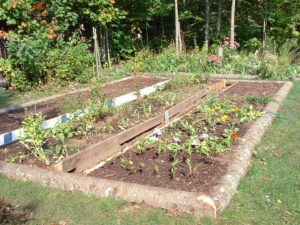 Potager garden plot