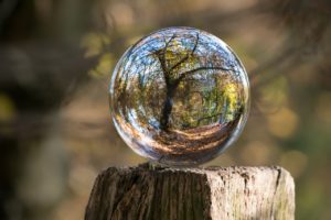 Clear sphere with tree reflection