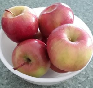 Bowl of red apples