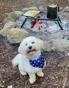 Small dog wearing a bandanna sitting by a campfire looking up. 