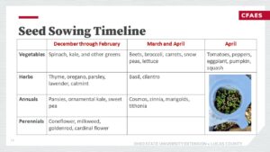 winter seed sowing timeline